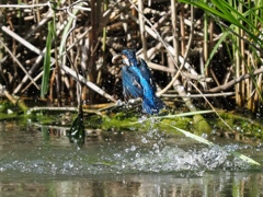 浮上 1285-1 浮上 1285-1