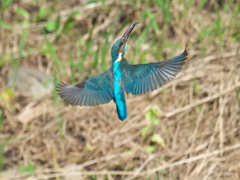 止り木へ 7-2（父親）