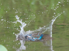 浮上 61-1（父親 エビ獲れたよ）