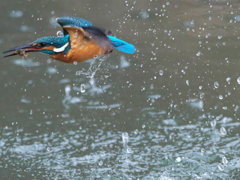 浮上 349-2（父親）