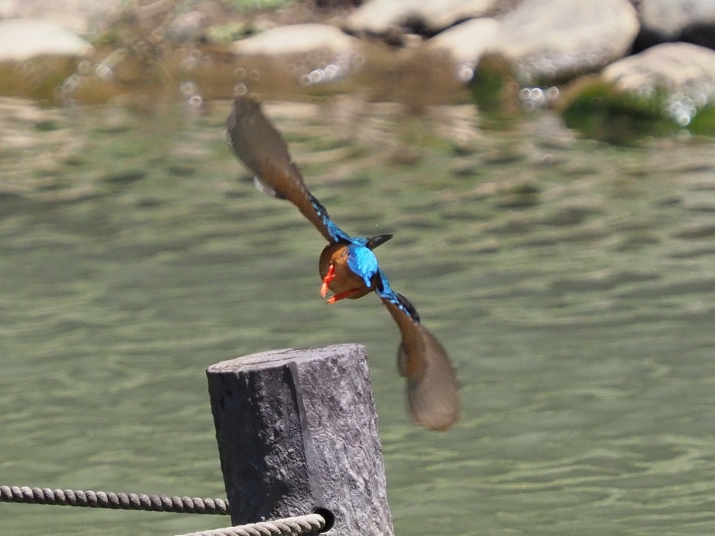 後ろ姿も見て！