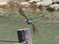 後ろ姿も見て！