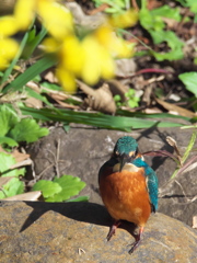 石の上 2（父親）