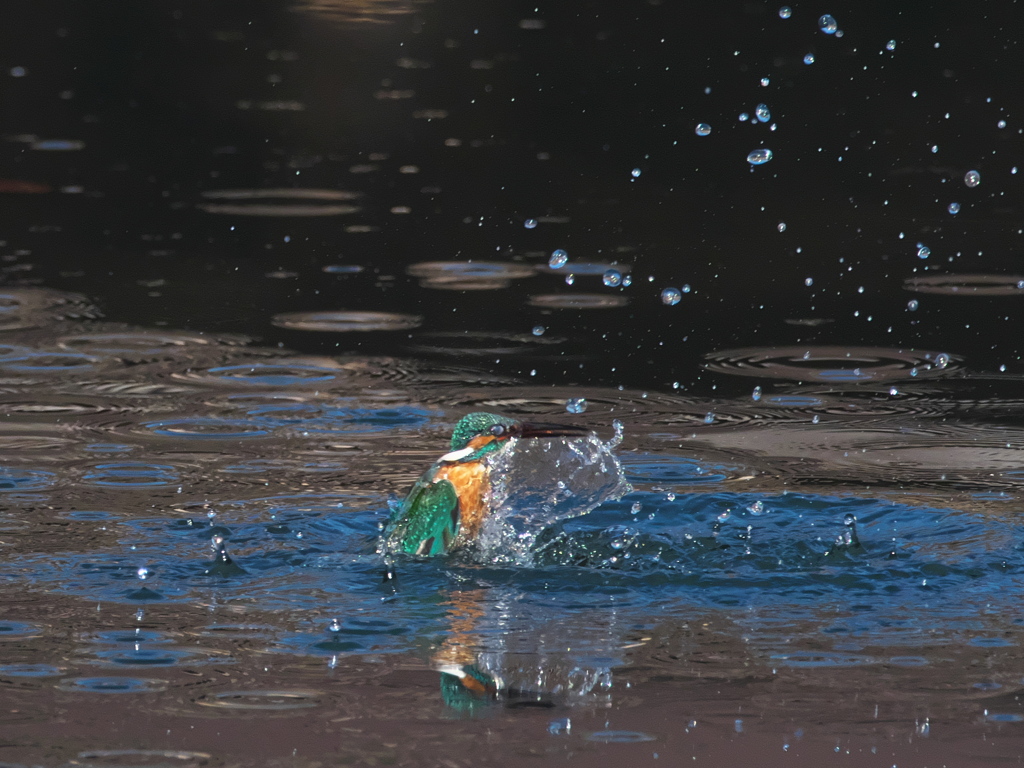 浮上 371-1（父親）