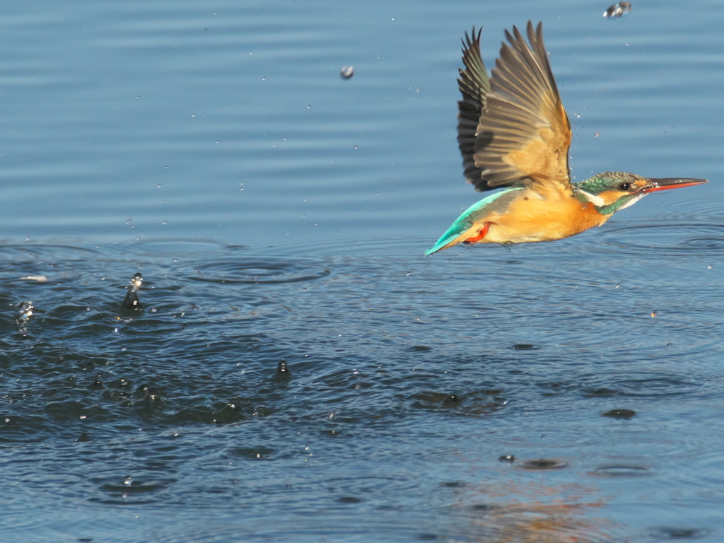 浮上 318（嫁候補）