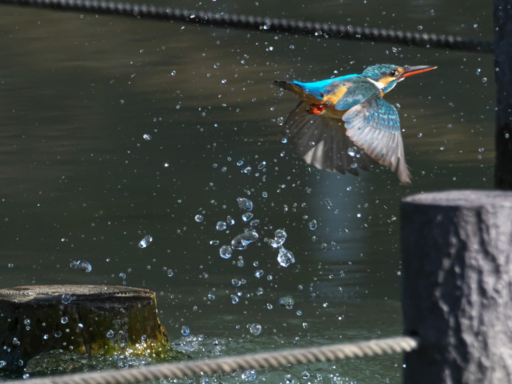 浮上 396（嫁候補）