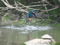 浮上 578（練習中）