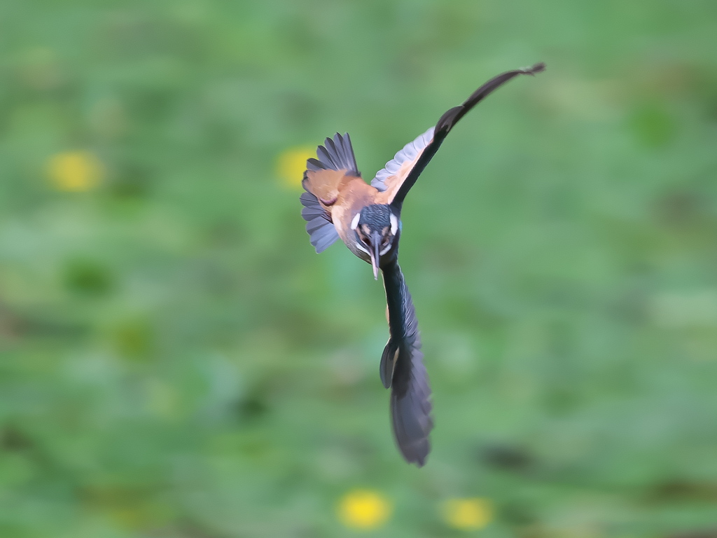 華麗なるターン 20-2