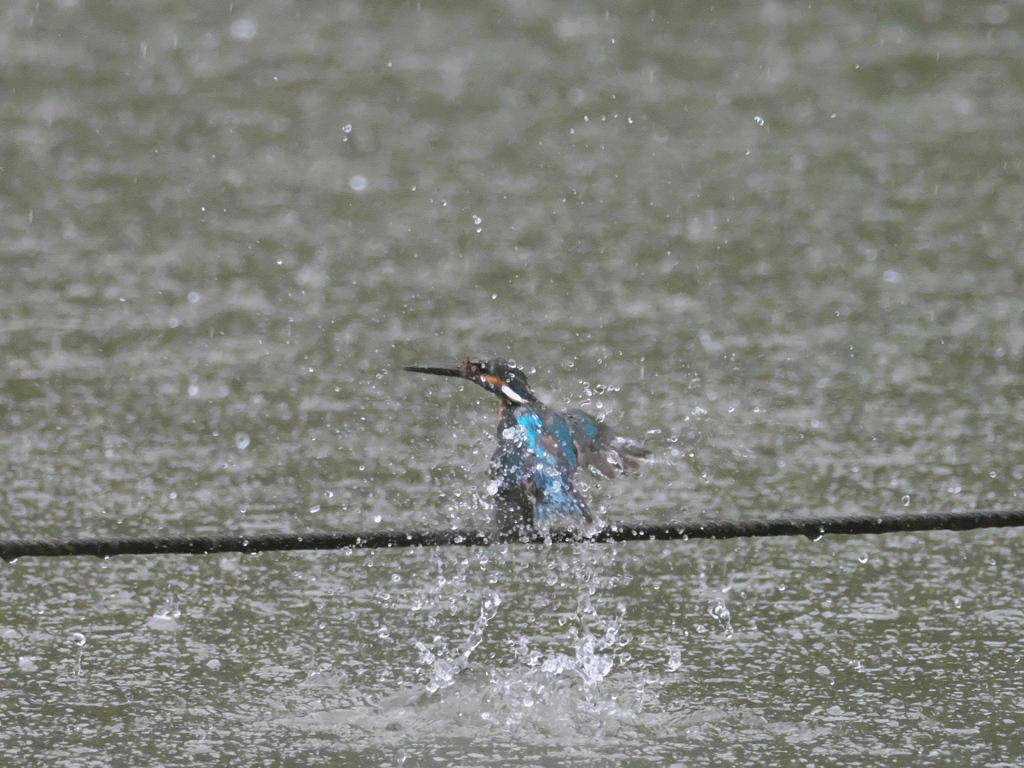  水浴び 2-3（父親 豪雨の中で）