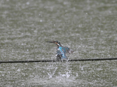  水浴び 2-3（父親 豪雨の中で）