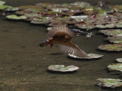 泥々シーケンス 1-7