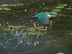 浮上 457-2（父親）