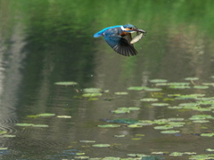 お持ち帰り 4-2（父親）