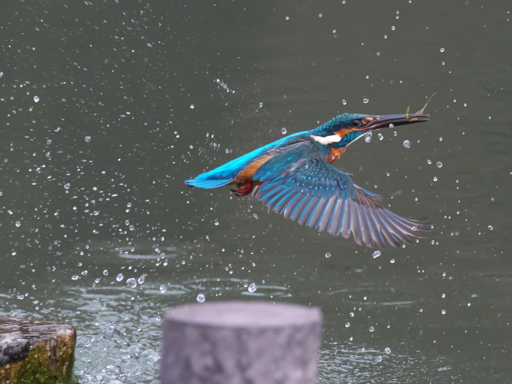 浮上 402-3（父親）