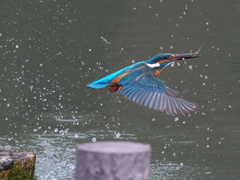 浮上 402-3（父親）