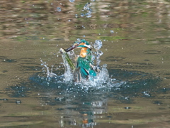 浮上 375-1（嫁候補）