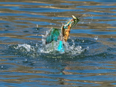 浮上 424-1（父親）