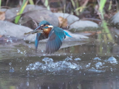 浮上 168-2（父親）