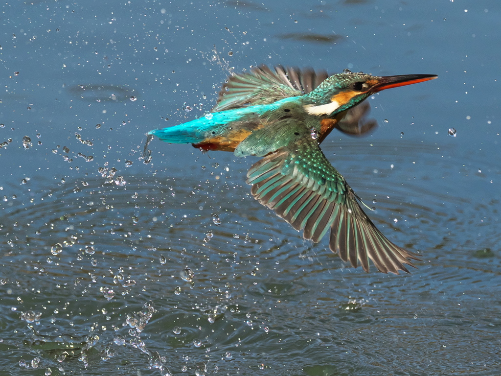 浮上 366-3（嫁候補）