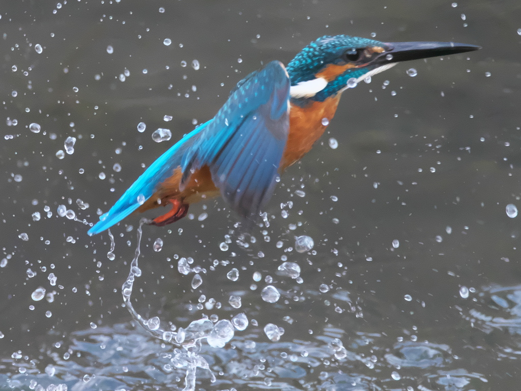 浮上 254（父親）