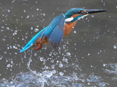 浮上 254（父親）