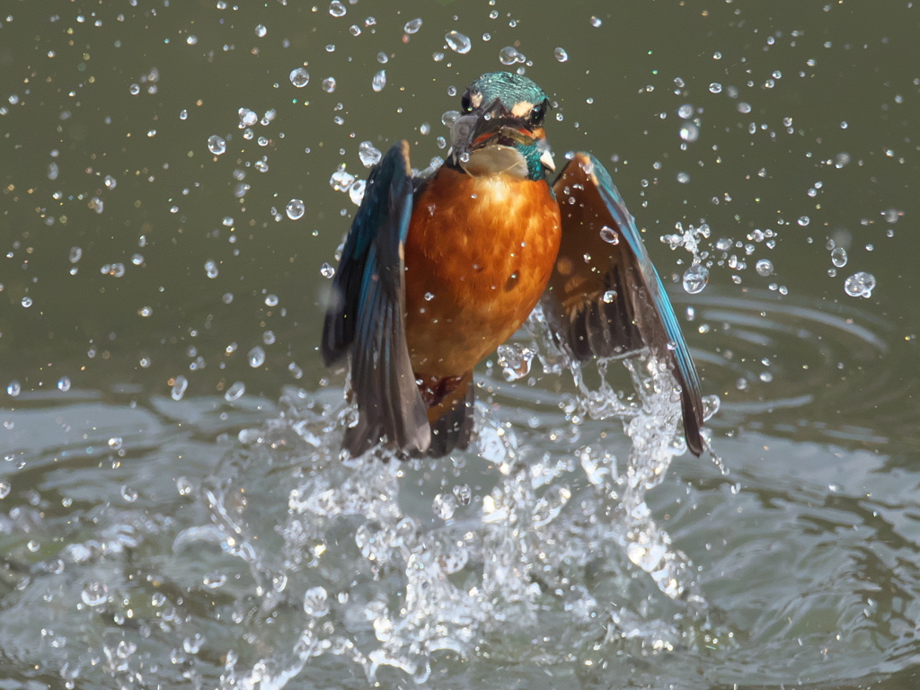 浮上 287-1（父親）