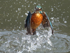 浮上 287-1（父親）