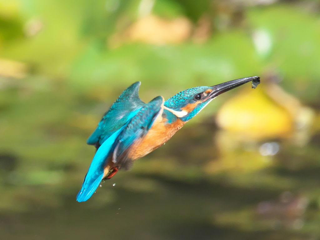 止り木へ 10（父親）