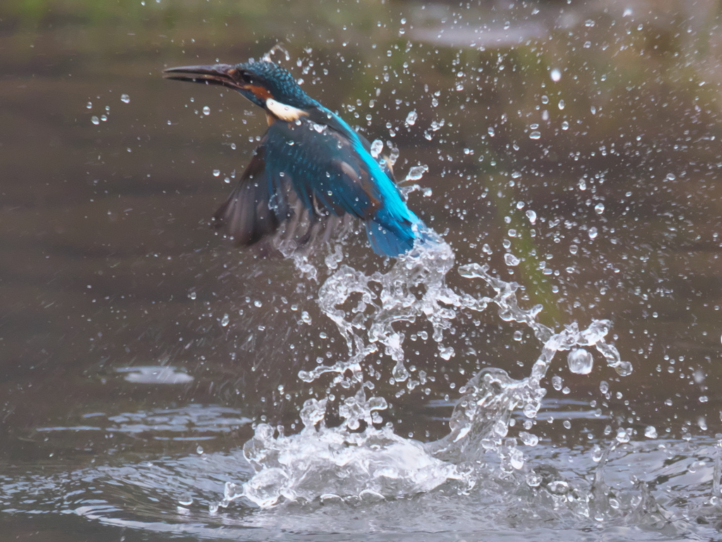 浮上 163-2（父親）