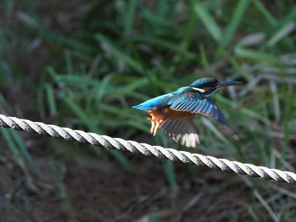 痒いの治ったかな？
