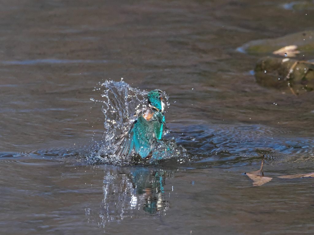 浮上 387（父親）