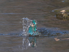 浮上 387（父親）
