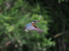 華麗なるターン 19-2