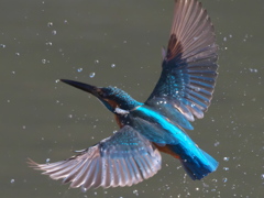 浮上 198（父親）