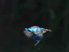 水平飛行 57