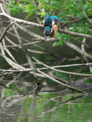 ダイブ 21（練習中）