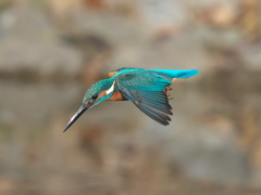 ロックオン 23-1