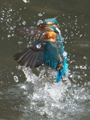 浮上 283（父親）