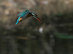 ロックオン 30-1