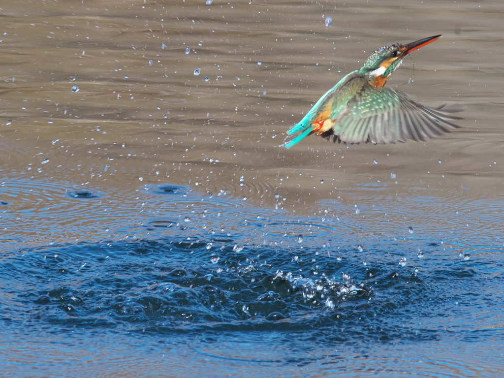 浮上 408（嫁候補）