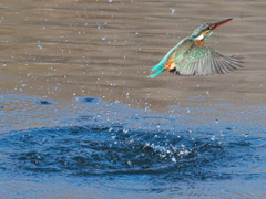 浮上 408（嫁候補）