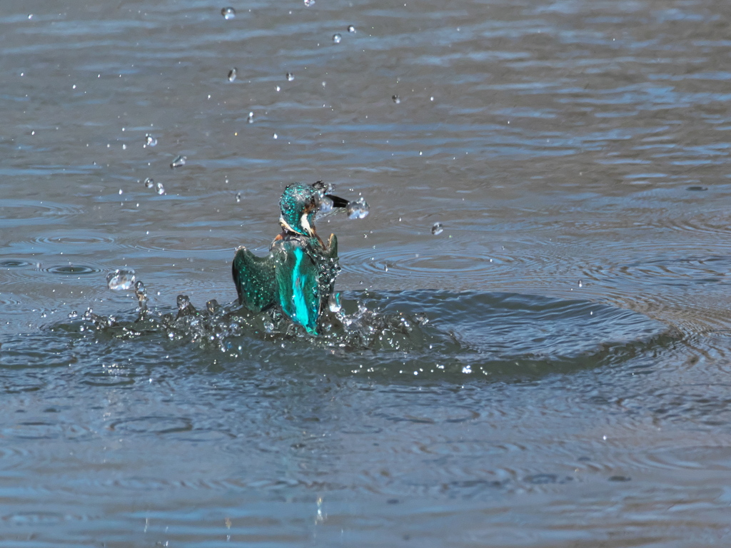 浮上 434（父親）
