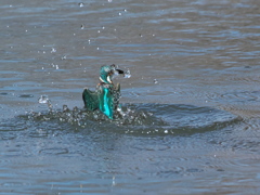 浮上 434（父親）