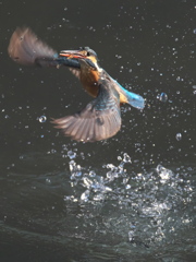 浮上 332（嫁候補）