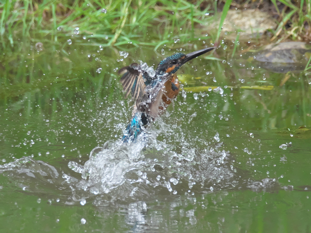浮上 58-1（父親）