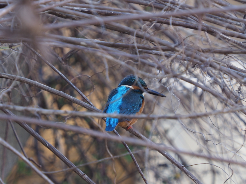 お気に入りの休憩場所