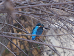 お気に入りの休憩場所