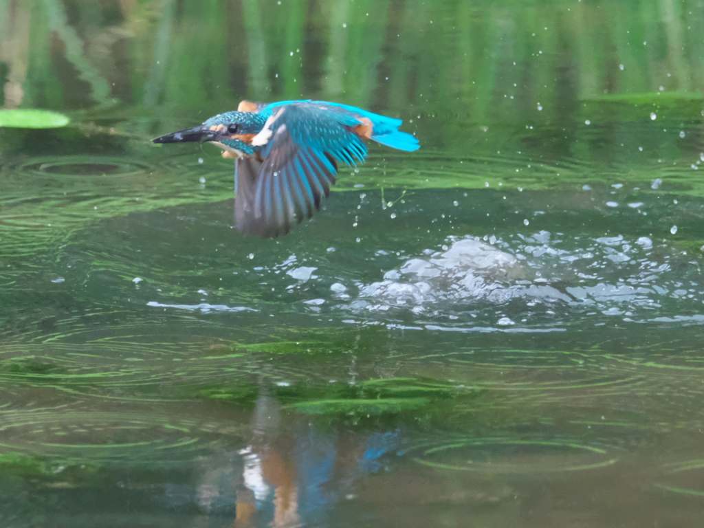 浮上 97-2（父親）