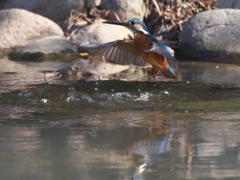 浮上 173-2（父親）