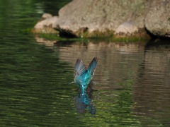 ダイブ 114-2 ダイブ 114-2